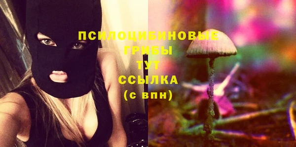 МДПВ Навашино